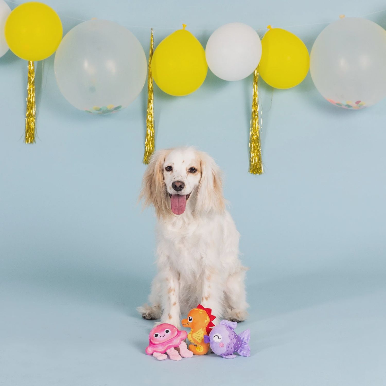 ITS A WATERFALL LIFE 3PC SMALL DOG SET