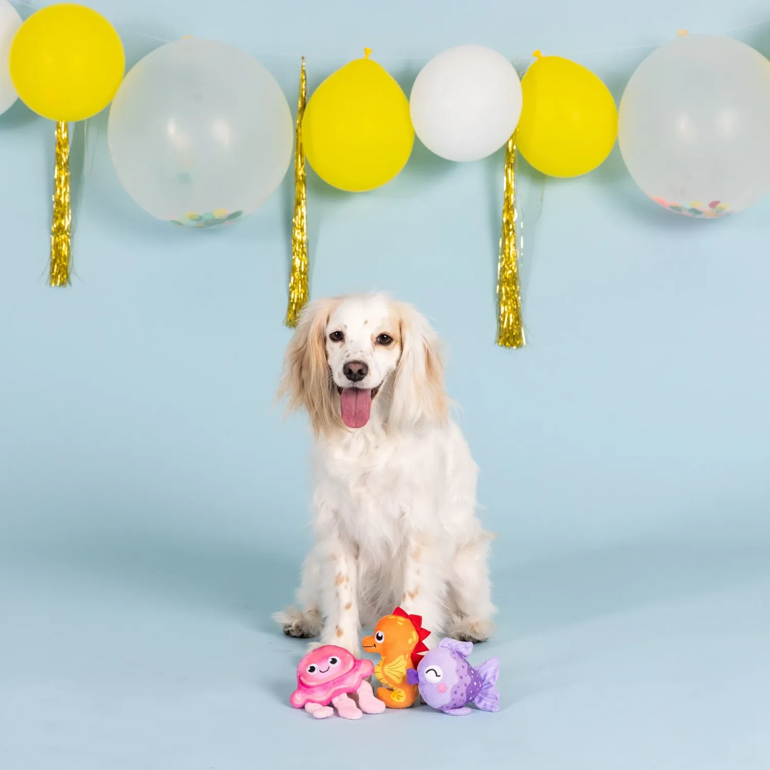 ITS A WATERFALL LIFE 3PC SMALL DOG SET