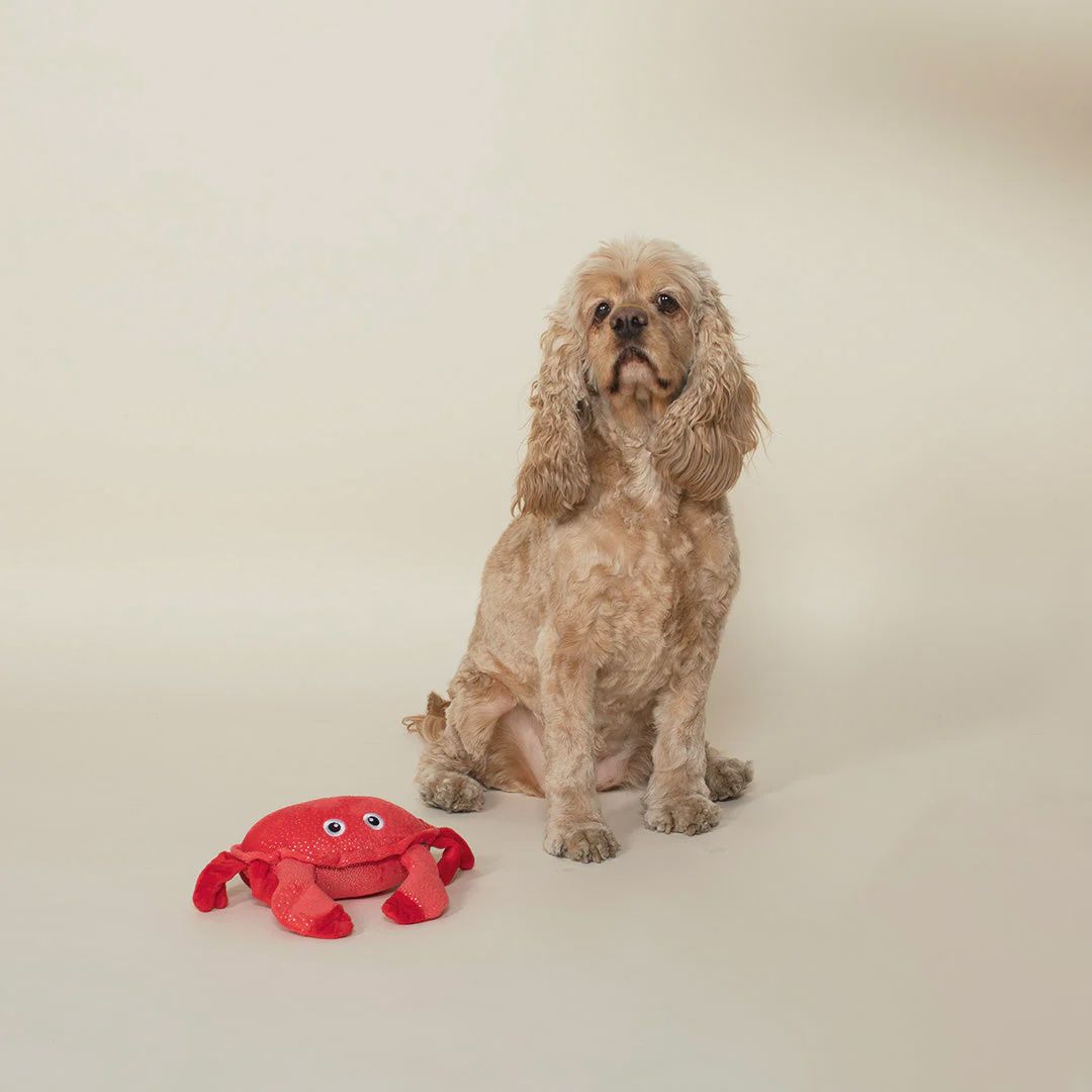 JUST A LITTLE  CRABBY PLUSH