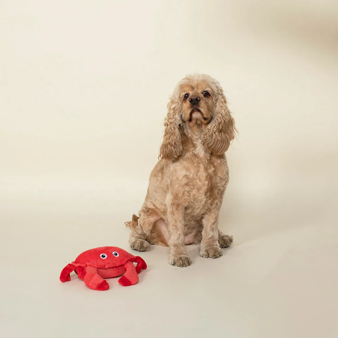 JUST A LITTLE  CRABBY PLUSH