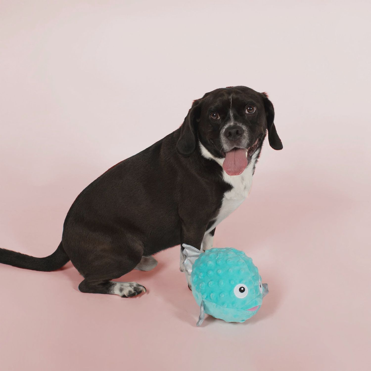 PUFFED UP PUFFER FISH PLUSH