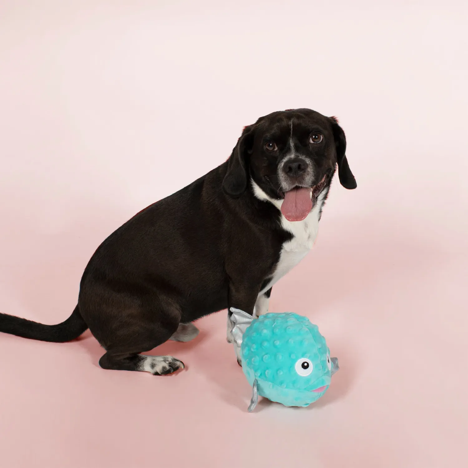 PUFFED UP PUFFER FISH PLUSH