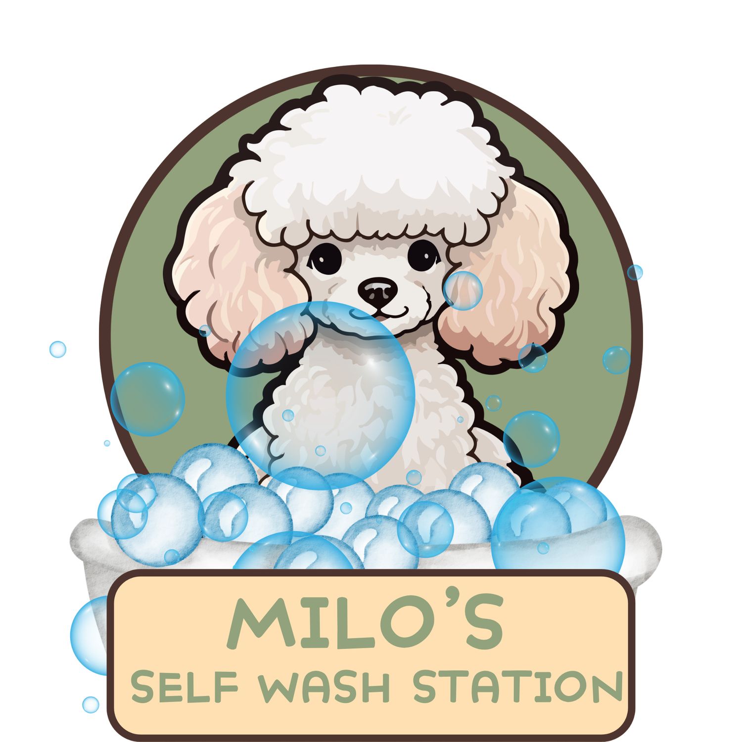 Self Wash