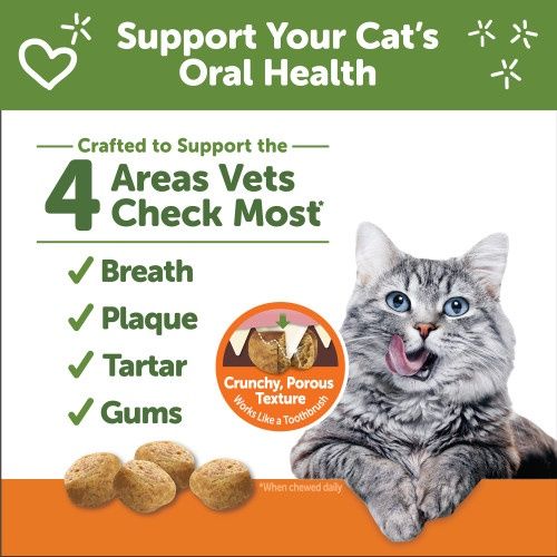 Cat Treats
