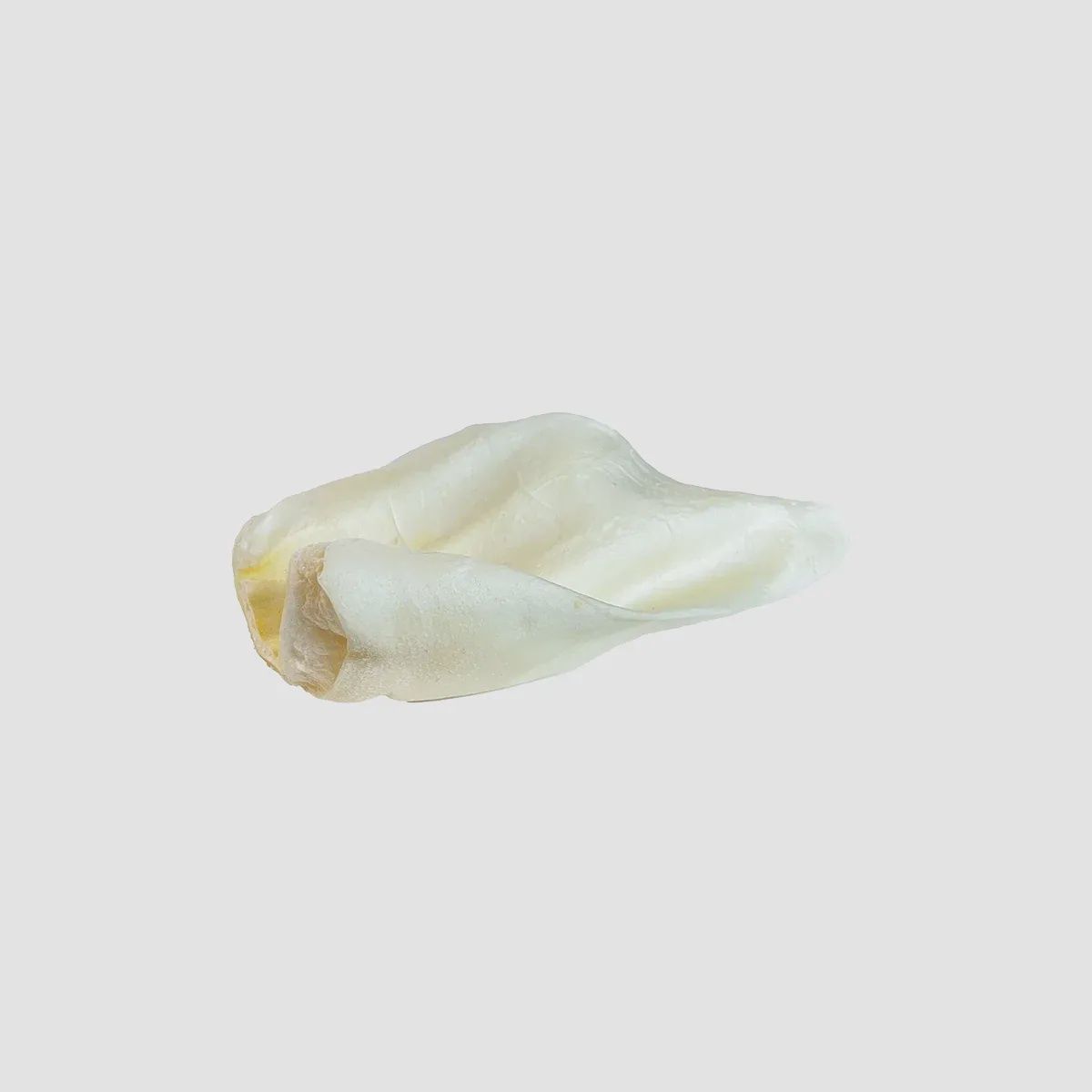 COW EAR LARGE