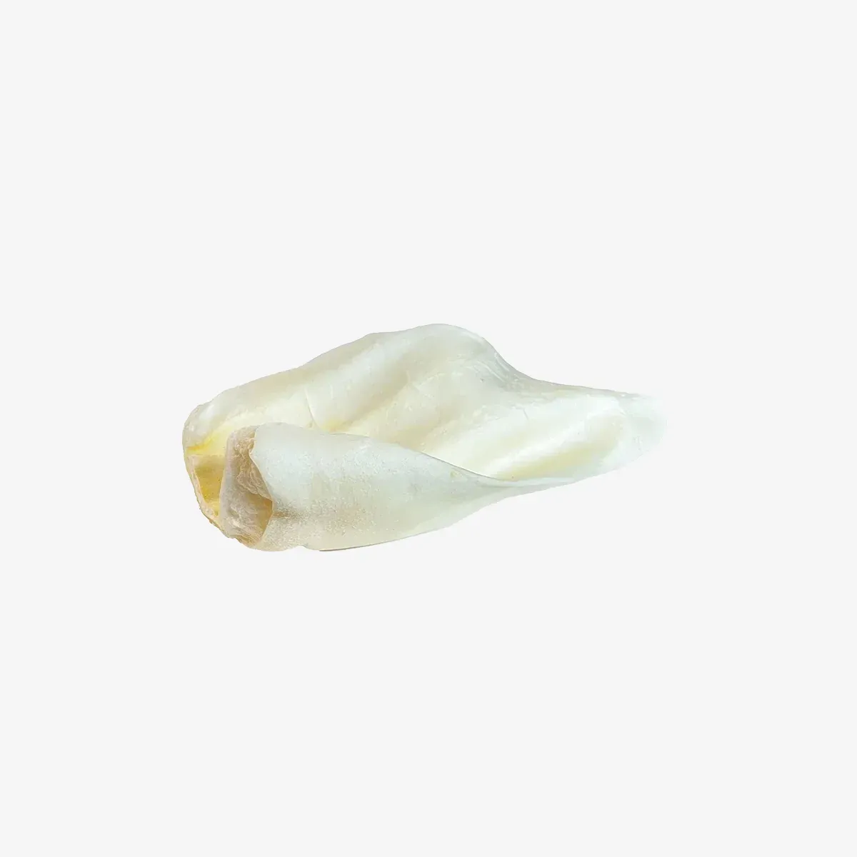 COW EAR LARGE