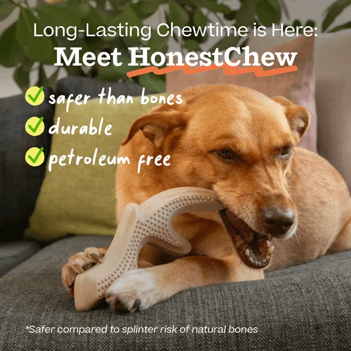HONESTCHEW ANTLER SMALL