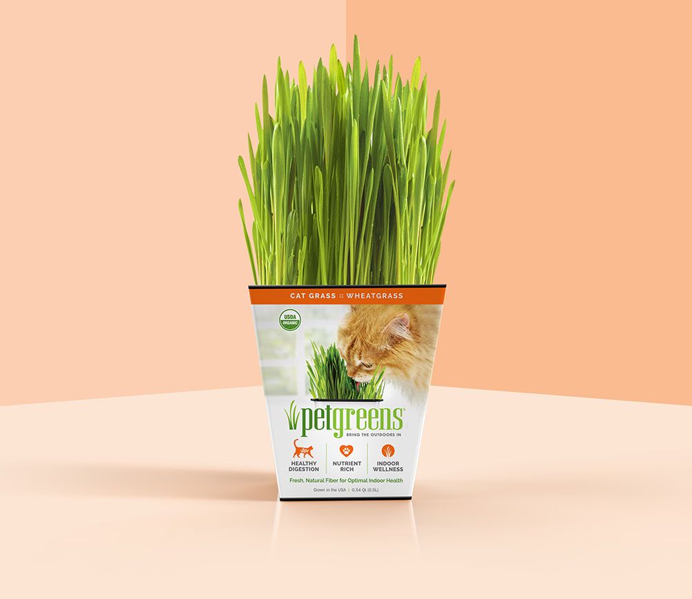 Pet Greens Cat Grass Original Wheatgrass
