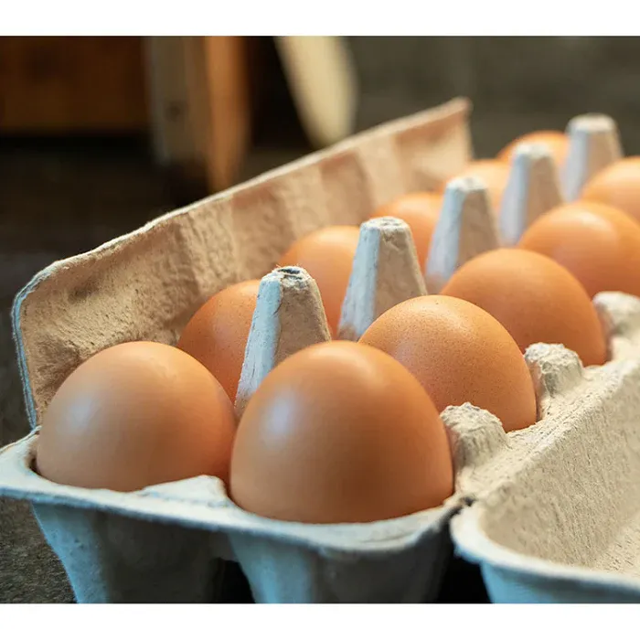 Fresh Eggs