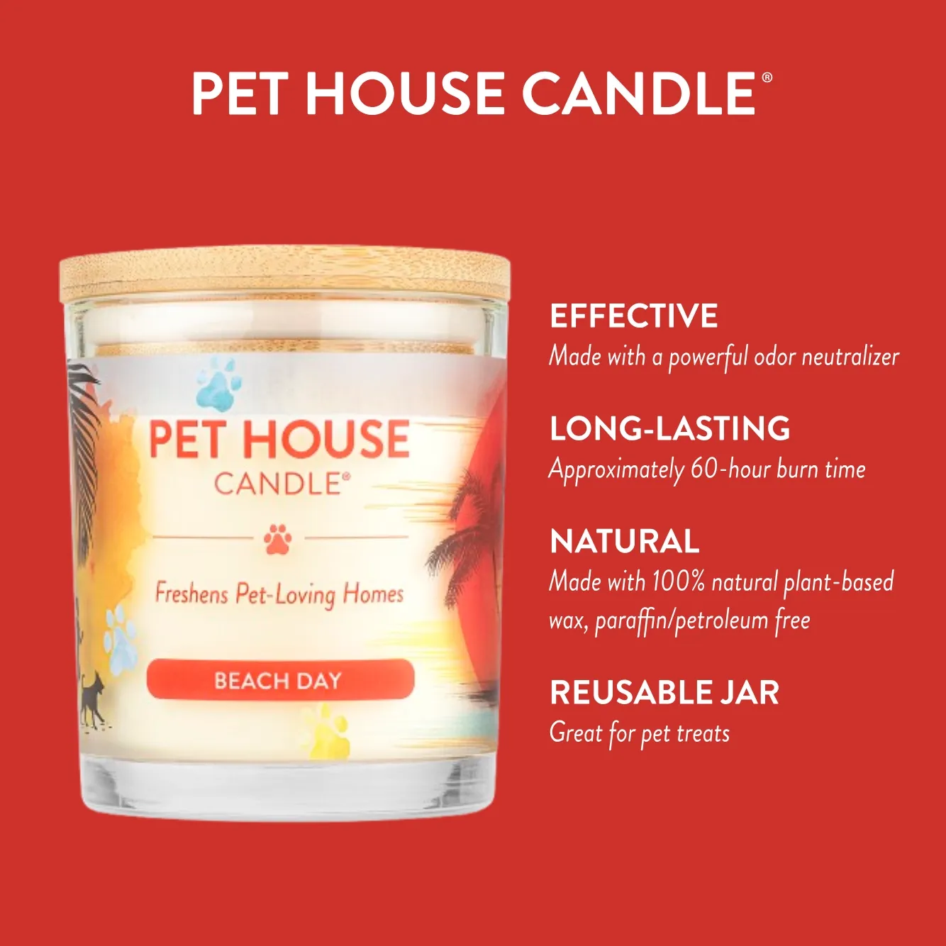 Pet House Candle Beach Day