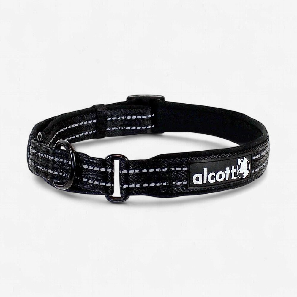 Martingale Collar