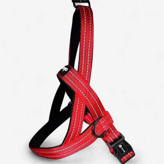 Norwegian Harness