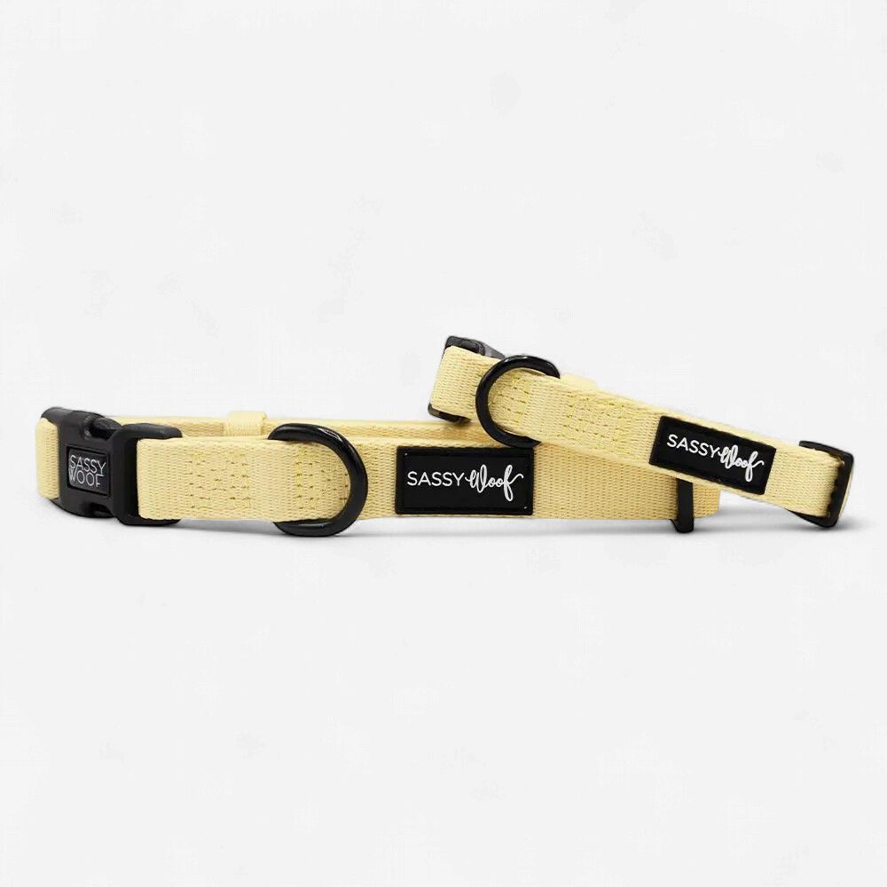 Daffodil Light Yellow Collar