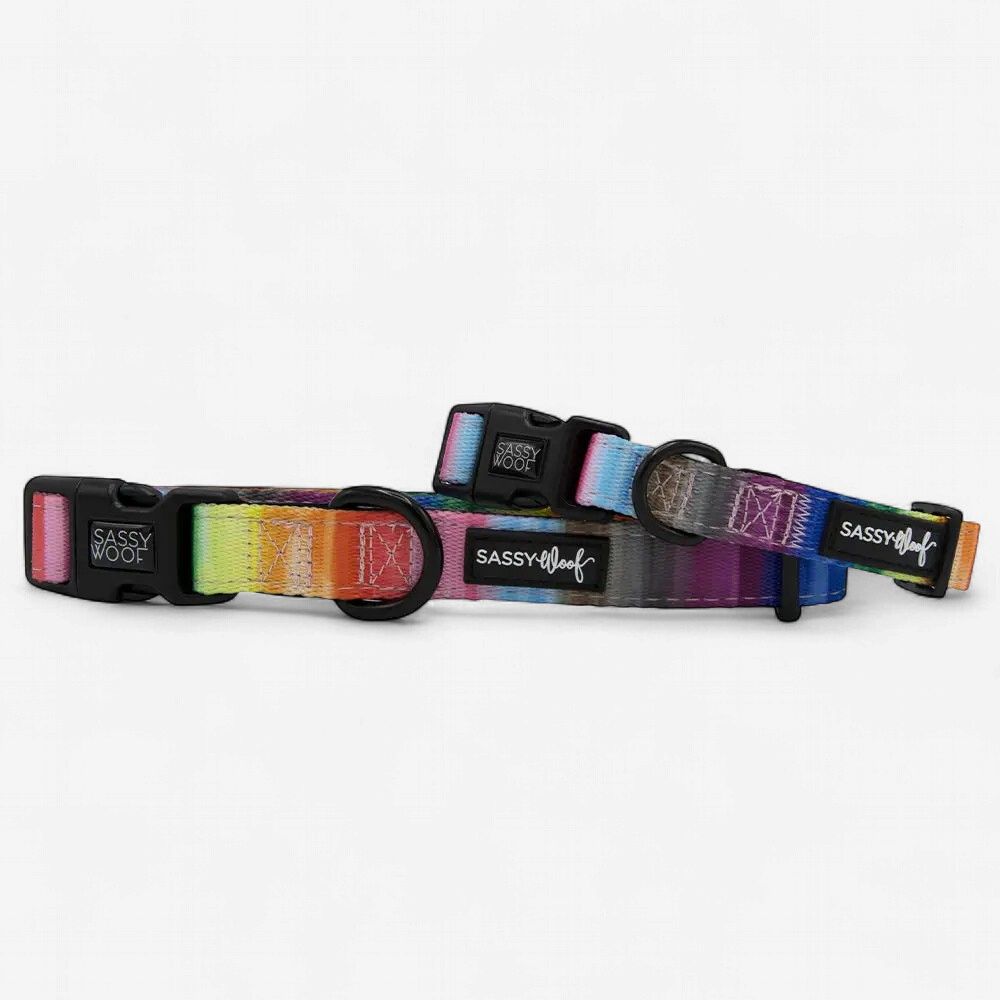 Colorful Collar