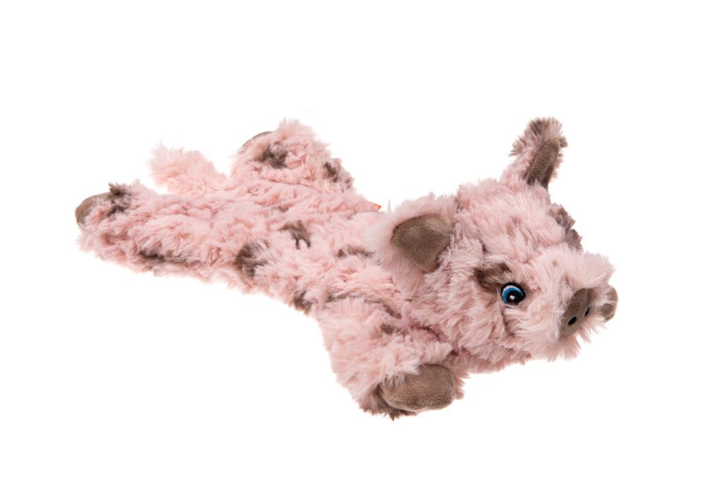 Cuddlerz Large