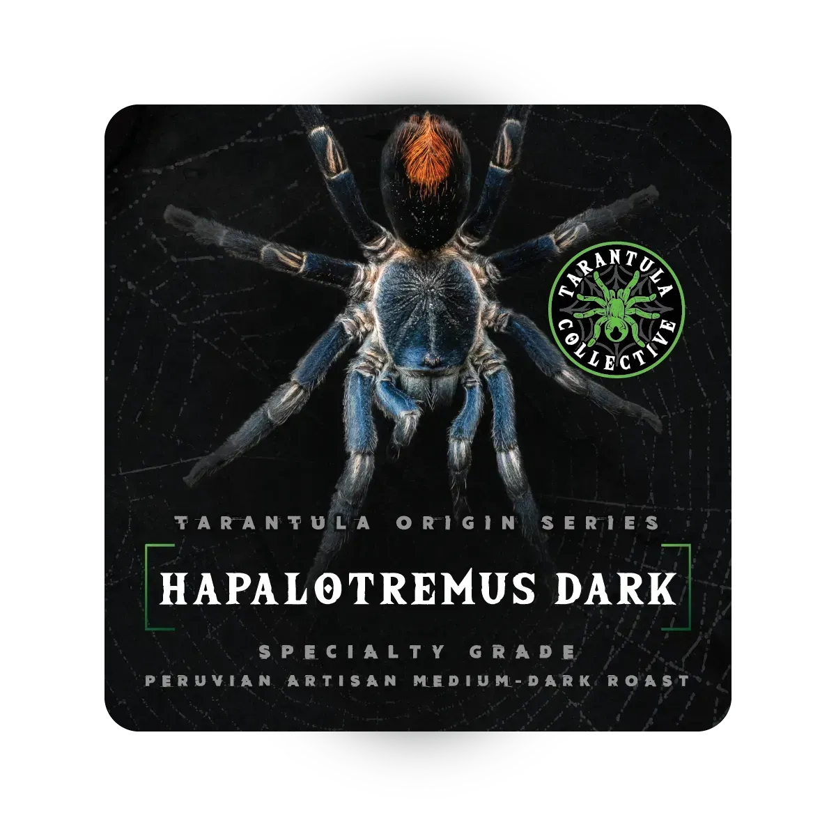 Hapalotremus Dark - Peruvian Dark Roast - Tarantula Collective Origin Series