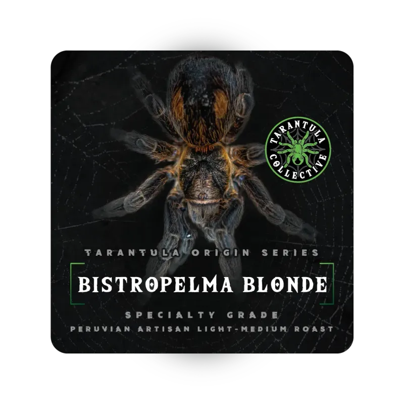 Bistropelma Blonde- Peruvian Light Medium- Tarantula Collective Origin Series