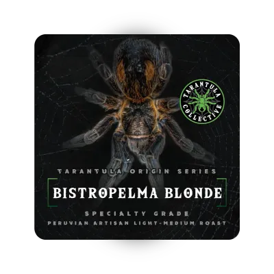 Bistropelma Blonde- Peruvian Light Medium- Tarantula Collective Origin Series Bistropelma Blonde- Peruvian Light Medium- Tarantula Collective Origin Series