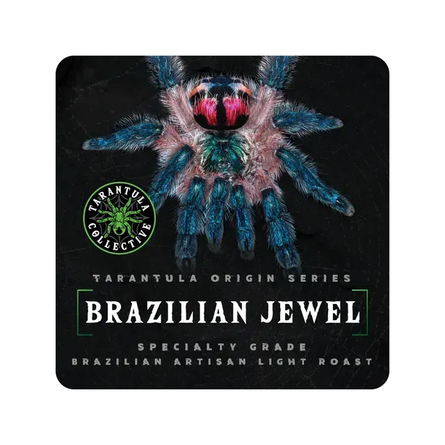 Brazilian Jewel - Brazil Light Roast - Tarantula Collective Origin Series