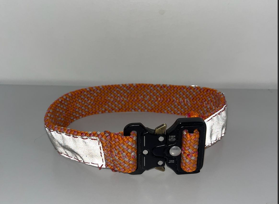 Hi-Visibility Dog Collar Large