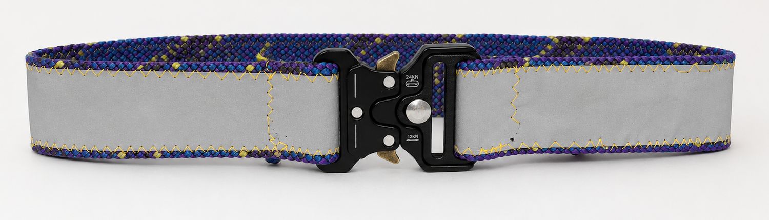 Hi-Visibility Dog Collar Large