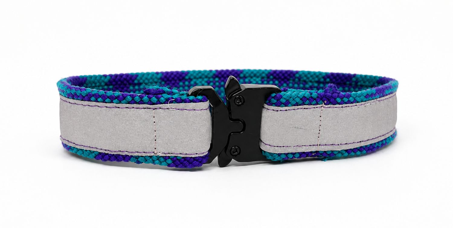 Hi-Visibility Collar Medium