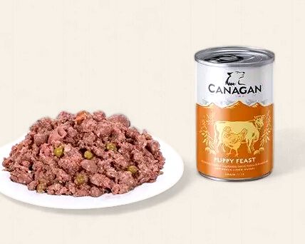 Canagan Can - Puppy Feast 400g