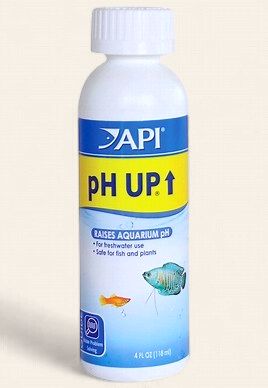 API pH Up 4oz Bottle