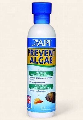 API Prevent Algae 118ml
