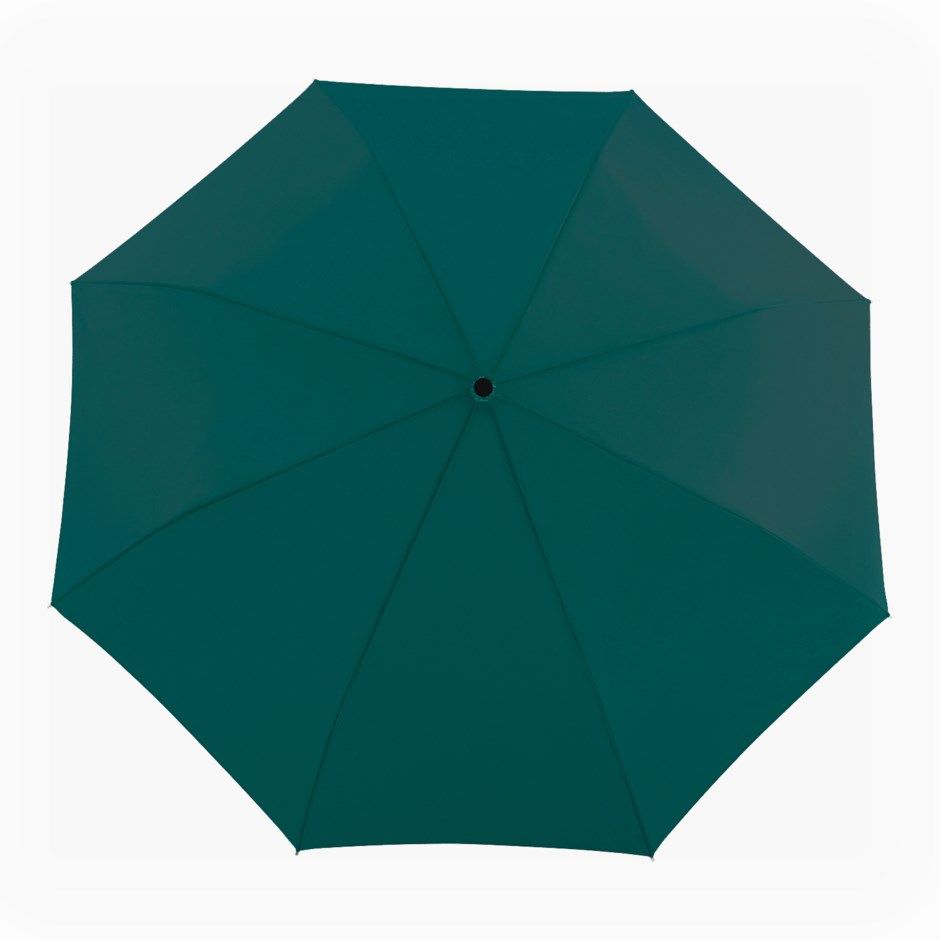 Parapluie vert
