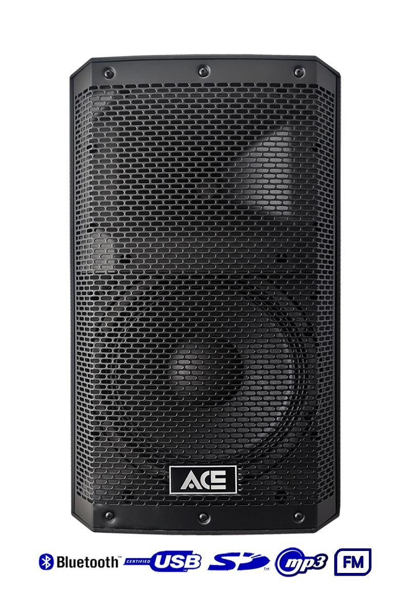 RH Sound ACE PBN-10C — kolumna aktywna 10" — Salon Muzyczny ELKA