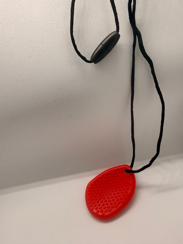 Worry Stone Necklace (Calming Sensory Tool)