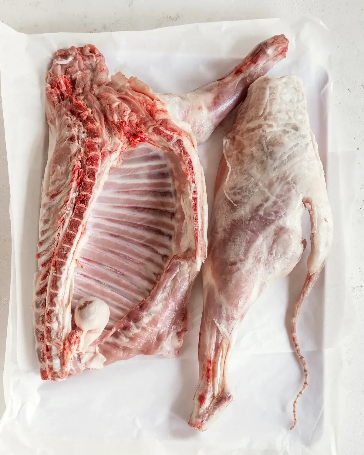 Cordero, recentral por medio o entero