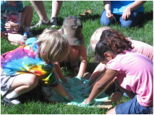 Camper (K-6th) Registration Camper (K-6th) Registration