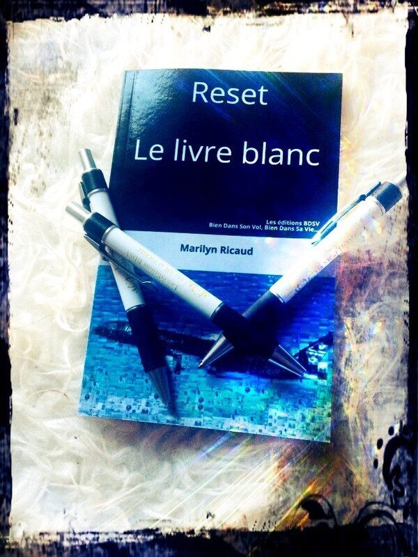 Reset, Le livre blanc, Hors-série des collections Le Guide Sophrologique du PN ou du Passager