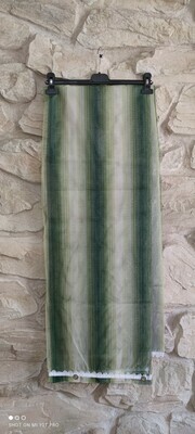 Zanzariera 150x250 Rigata Verde....