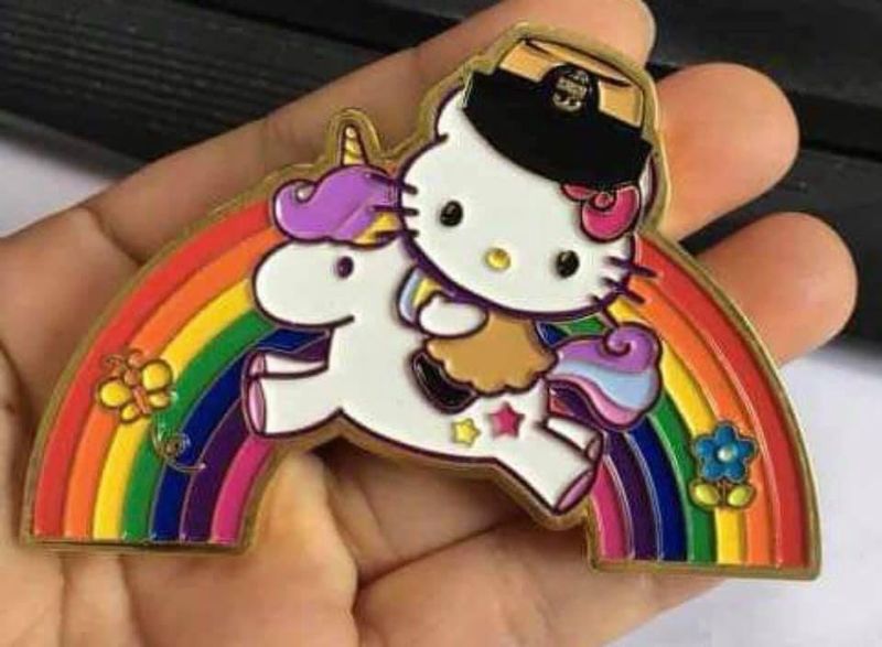 $15.00 each👉🏼 Rainbow Kitty Coin