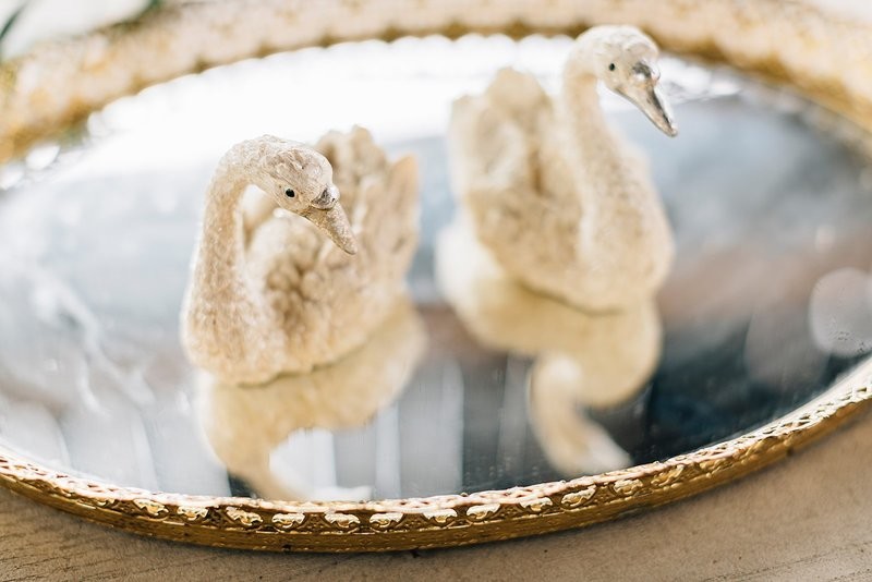 Love Birds - White Swans