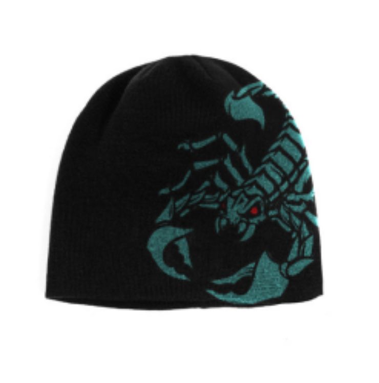 WASTED BANE REVERSIBLE BROW BEANIE