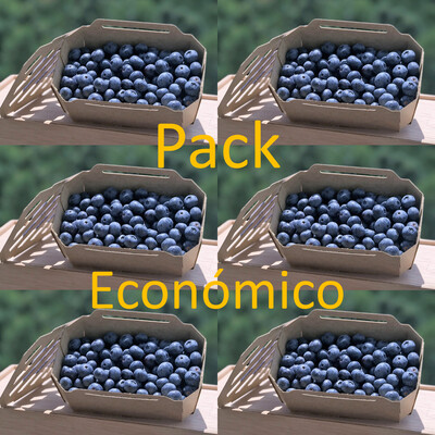 Pack Económico (6 Caixas Mirtilos) Pack Económico (6 Caixas Mirtilos)