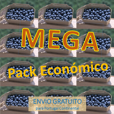 Mega Pack Económico (12 Caixas Mirtilos) Mega Pack Económico (12 Caixas Mirtilos)