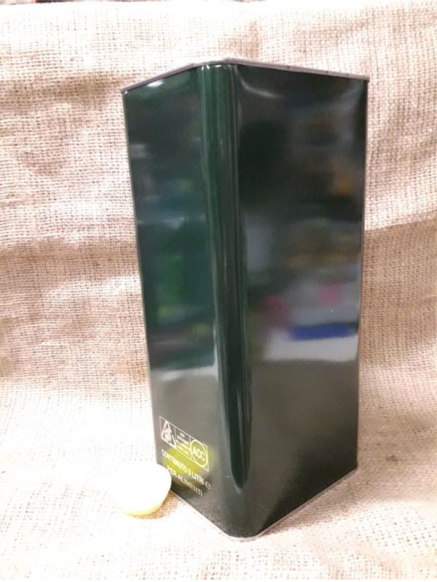 Lattina 5 lt. verde con tappo (confezione da 8 pz) 60x25x32 h