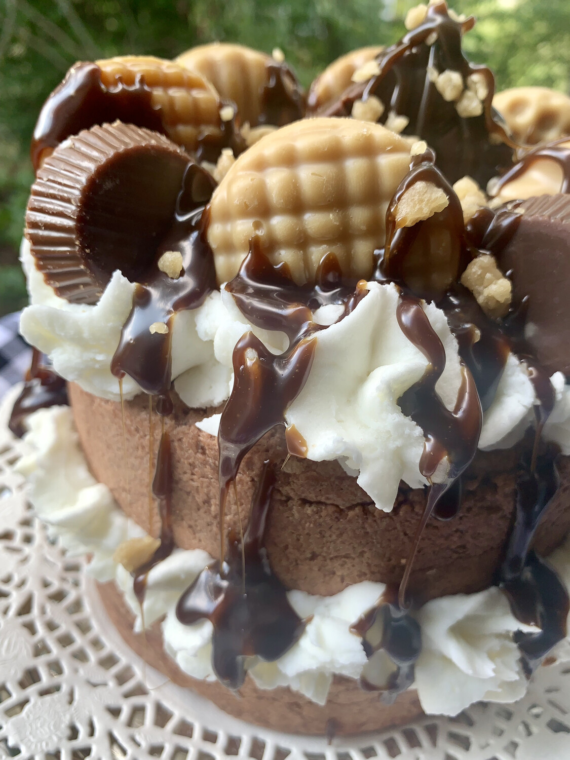 S’mores Cake Candle Faux Food/Bakery Prop Collection Novelty Gift Table Centerpiece Brunch Table Decor Let them Eat Cake Theme Tea Party Realtor Home Staging PropGift Housewarming