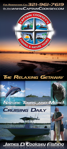 Rack Cards/Flyers/Postcards - 4&quot; x 9&quot;