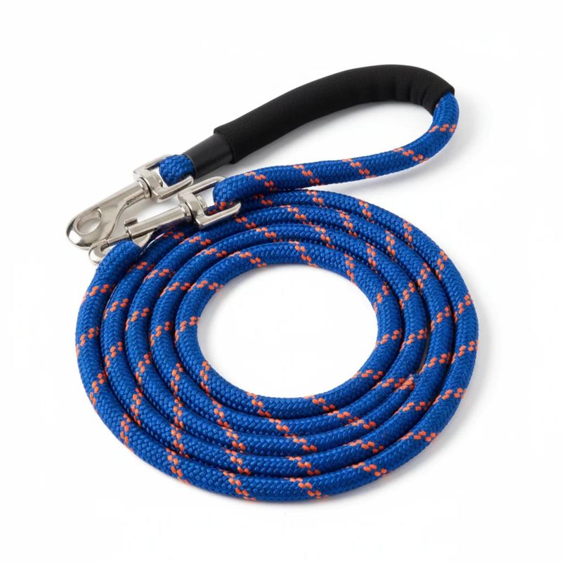 Pet Leash