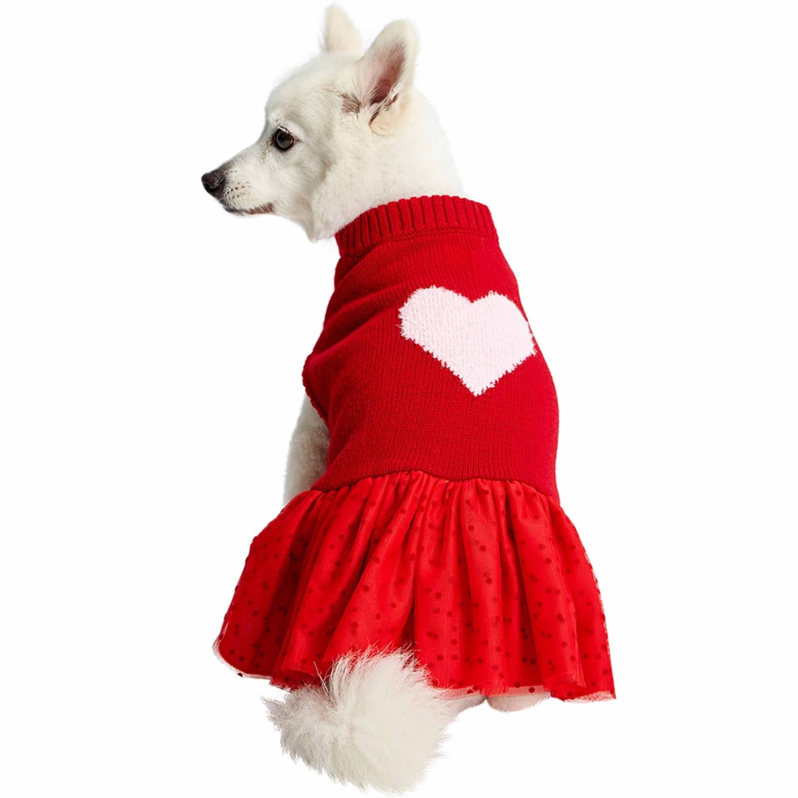 Heart Dog Sweater & Sweater Dress