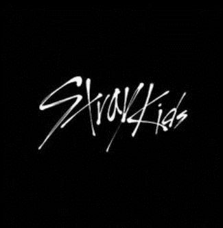 STRAY KIDS MERCH