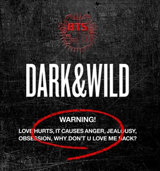 BTS-1st Album [DARK&amp;WILD]