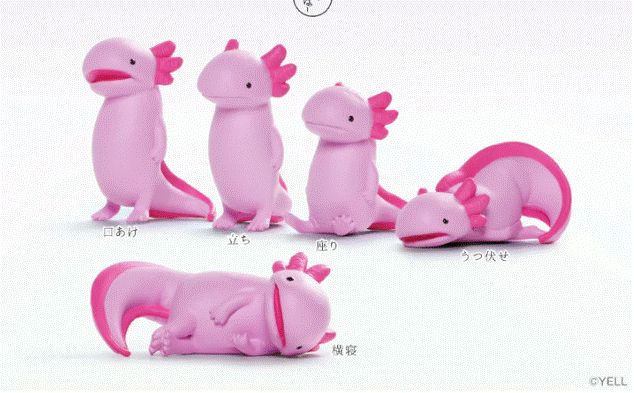 Void Axolotl Wooper Looper Blind Box Asst
