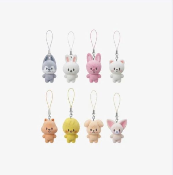 STRAY KIDS 6TH FANMEETING [STAY in Our Little House] MD | SKZOO SECRET MINI CHARM